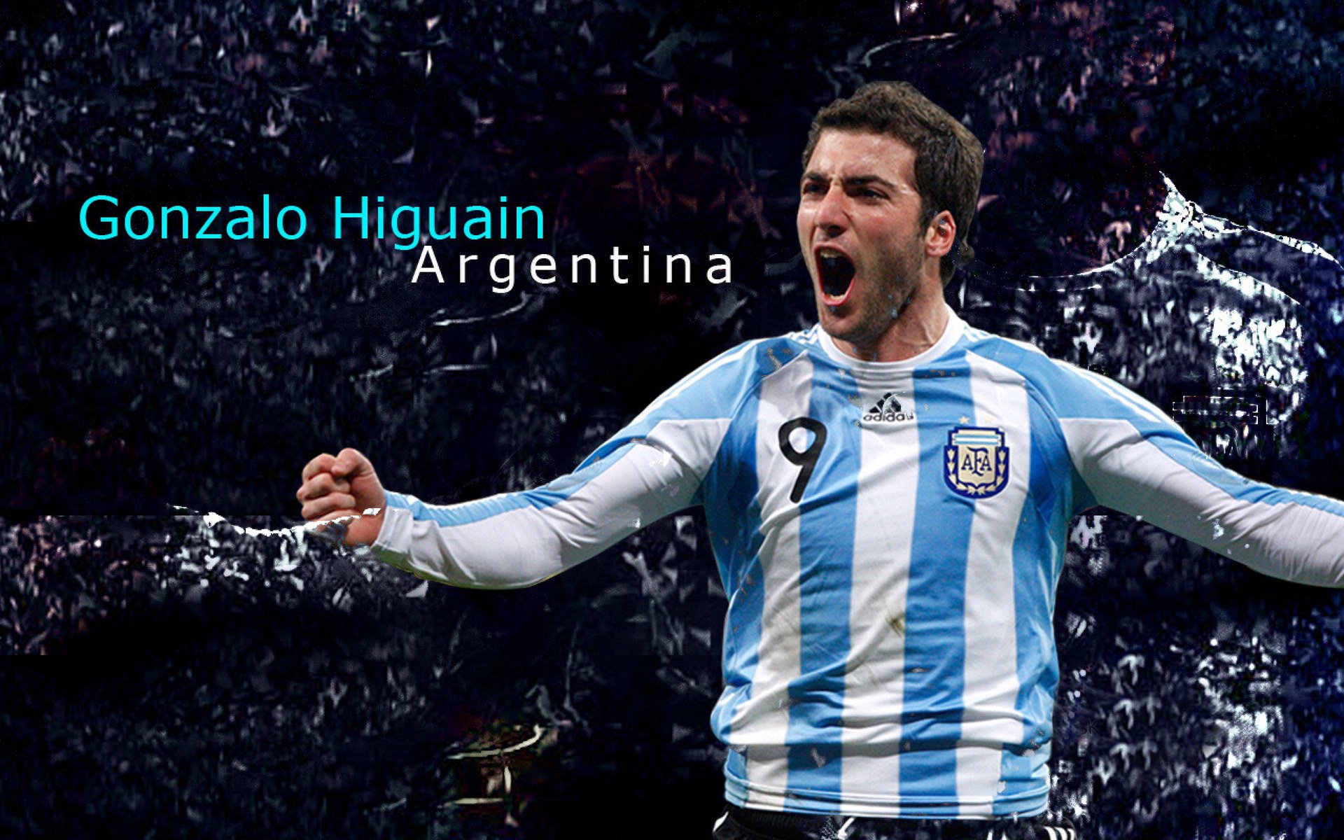 火箭更新球员个人数据页面提升球迷互动体验，火箭球队球员